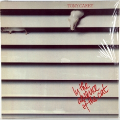 31. CAREY, TONY (EX RAINBOW)-IN THE ABSENCE OF THE CAT-1982-первый пресс germany-x records-nmint/nmint