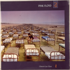 73. PINK FLOYD-A MOMENTARY LAPSE OF REASON-1987-FIRST PRESS EU-HOLLAND-COLUMBIANMINT/NMINT