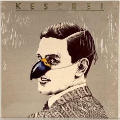 29. KESTREL-KESTREL-1975-ПЕРВЫЙ ПРЕСС UK-CUBE-NMINT/NMINT