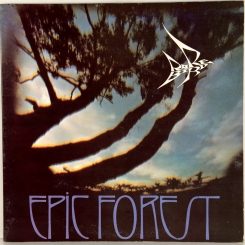 36. RARE BIRD -EPIC FOREST-1972-FIRST PRESS UK-POLYDOR-NMINT/ARCHIVE